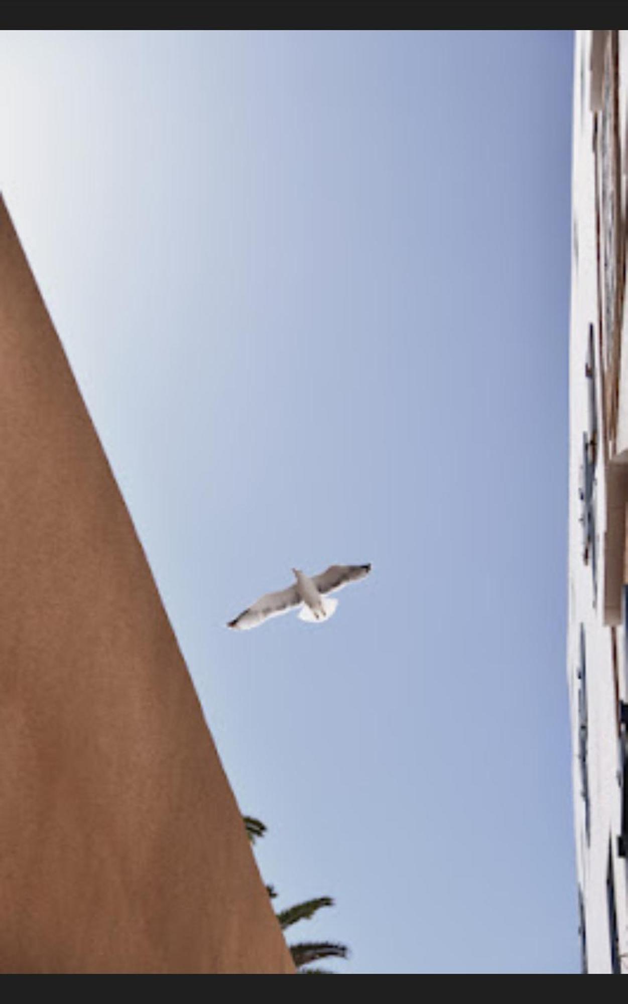 Loft Incroyable En Medina * Essaouira